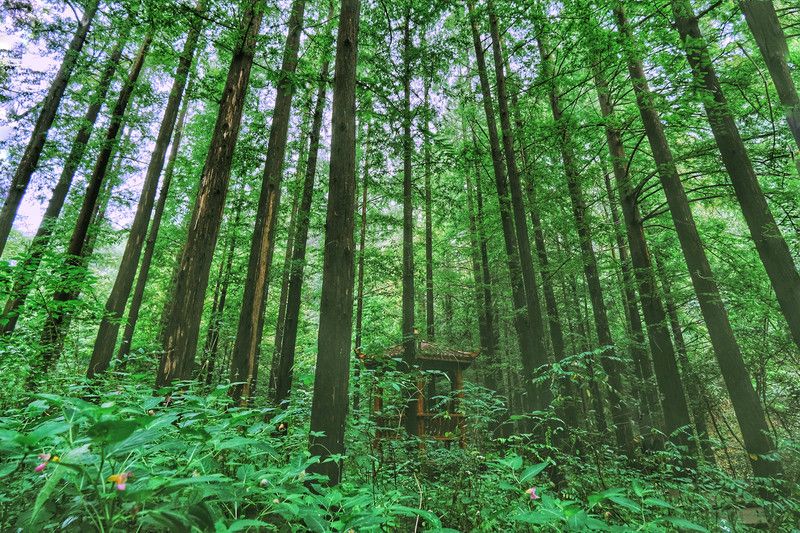 河(hé)南(nán)自(zì)由行(xíng)5日(rì)遊多(duō)少(shǎo)錢(qián) 河(hé)南(nán)5日(rì)遊費(fèi)用(yòng) 河(hé)南(nán)旅遊親身(shēn)體(tǐ)驗攻略分(fēn)享（河(hé)南(nán)省5日(rì)遊最佳路(lù)線圖）