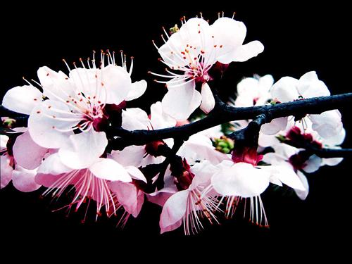 河(hé)南(nán)省內(nèi)栾川蝴蝶谷自(zì)駕遊線路(lù)（栾川蝴蝶谷好(hǎo)玩(wán)嗎(ma)）