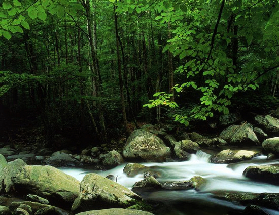 世界上(shàng)最美(měi)麗(lì)最浪漫的(de)風(fēng)景圖片（世界上(shàng)最美(měi)的(de)風(fēng)景照(zhào)片）