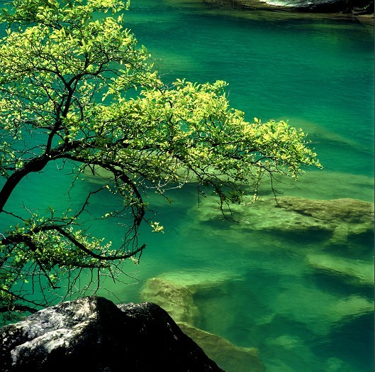 新鄉(xiāng)八裡(lǐ)溝景區(qū)門(mén)票(piào)價格及圖片展（新鄉(xiāng)八裡(lǐ)溝門(mén)票(piào)多(duō)少(shǎo)錢(qián)2020）