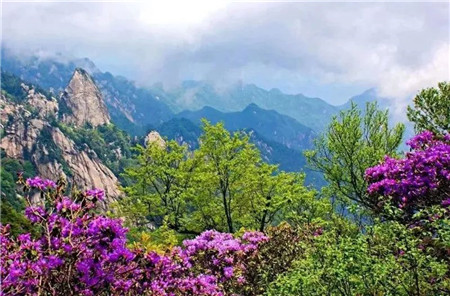 堯山(shān)：迎一(yī)季春來(lái)，待一(yī)山(shān)花(huā)開(kāi)（堯山(shān)風(fēng)景區(qū)旅遊攻略圖）