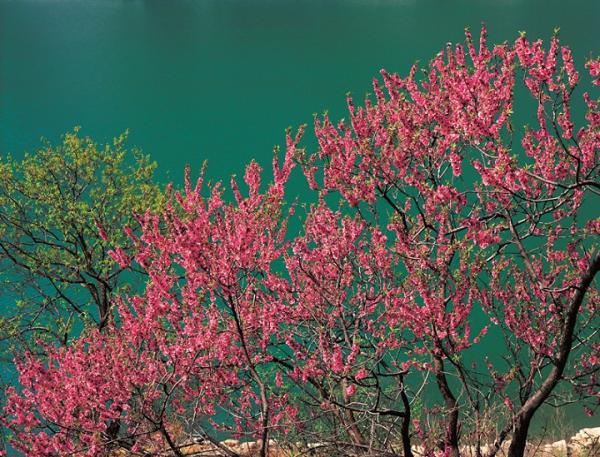 中國(guó)養生(shēng)地(dì) 焦作(zuò)雲台山(shān)（中國(guó)養生(shēng)地(dì)焦作(zuò)雲台山(shān)旅遊形象宣傳片嘩哩嘩哩）