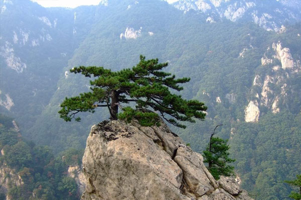 堯山(shān)省內(nèi)遊汽車(chē)客運表（堯山(shān)遊覽線路(lù)圖）