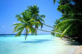 海(hǎi)南(nán)三亞海(hǎi)口分(fēn)界洲島、椰田古寨、大(dà)東(dōng)海(hǎi)、三亞灣、南(nán)山(shān)佛教文(wén)化(huà)苑、天涯海(hǎi)角、博鳌亞洲論壇成立會(huì)址、玉帶灘零海(hǎi)岸雙飛(fēi)5日(rì)遊海(hǎi)口往返（海(hǎi)南(nán)分(fēn)界洲島的(de)緯度）